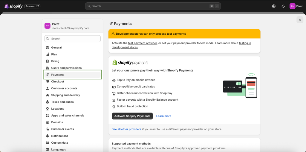 Shopify: Setup Payments